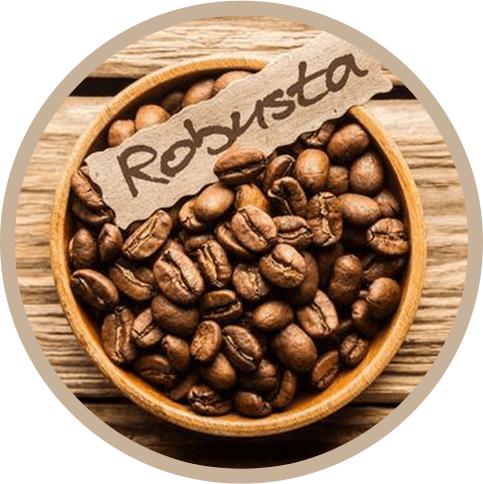 robusta